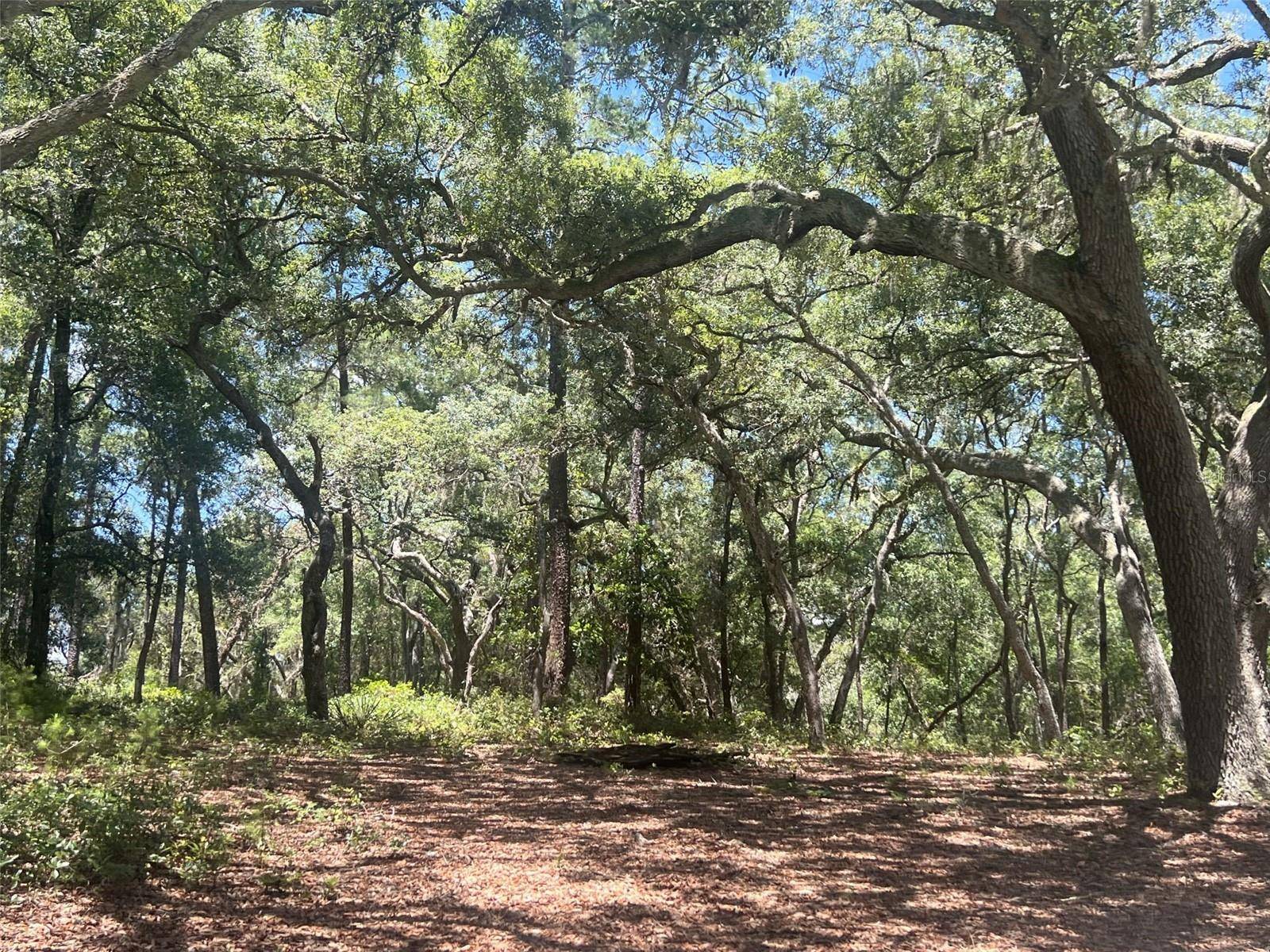 1425 RENBAR RD, De Leon Springs, FL 32130