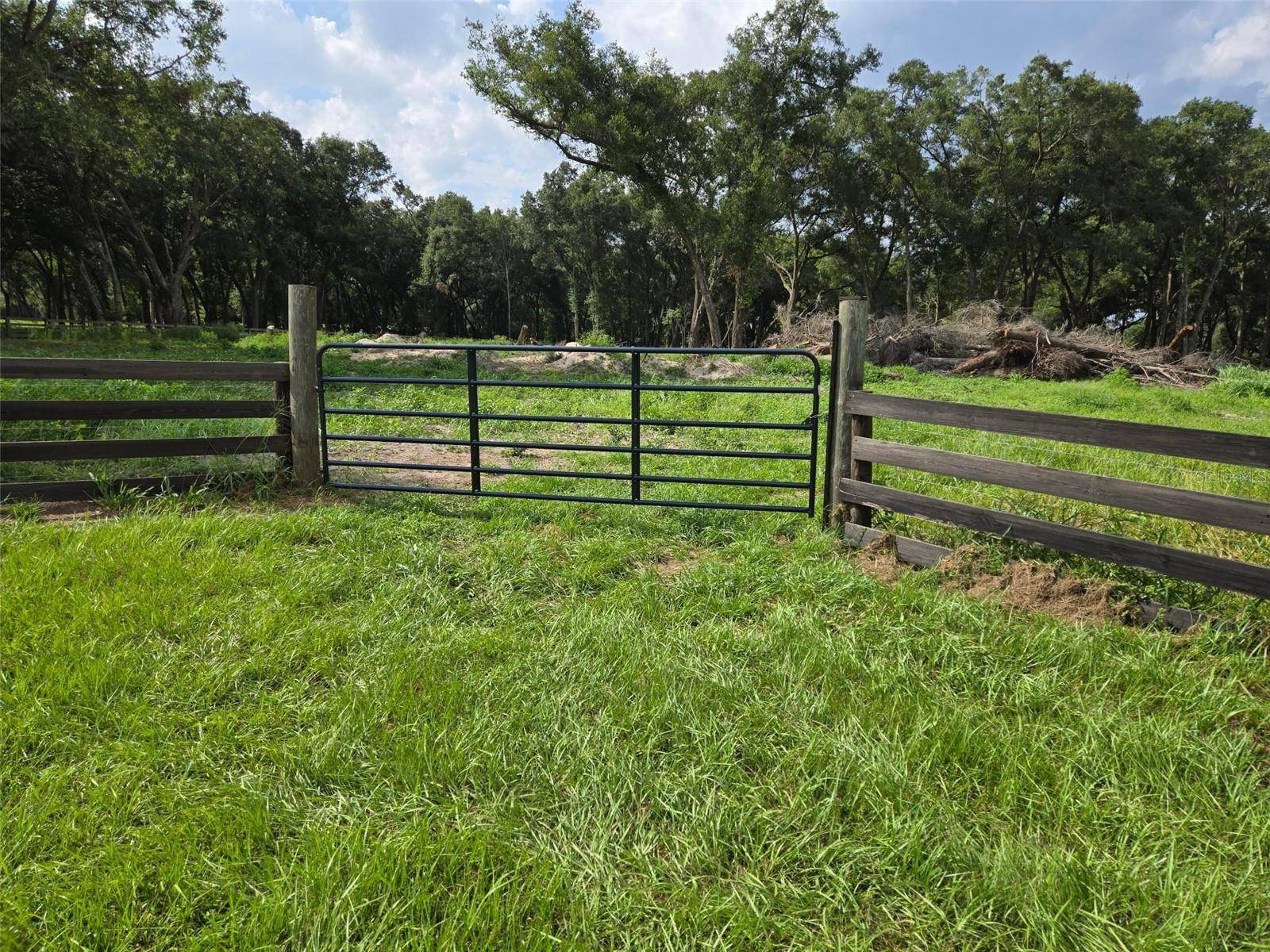 890 GRAND RONDO W, Crescent City, FL 32112
