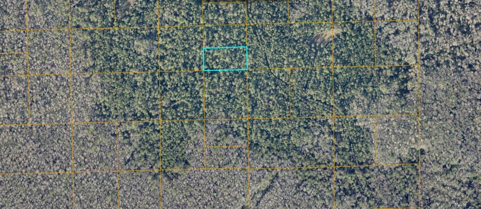 UNIMPROVED, De Leon Springs, FL 32130