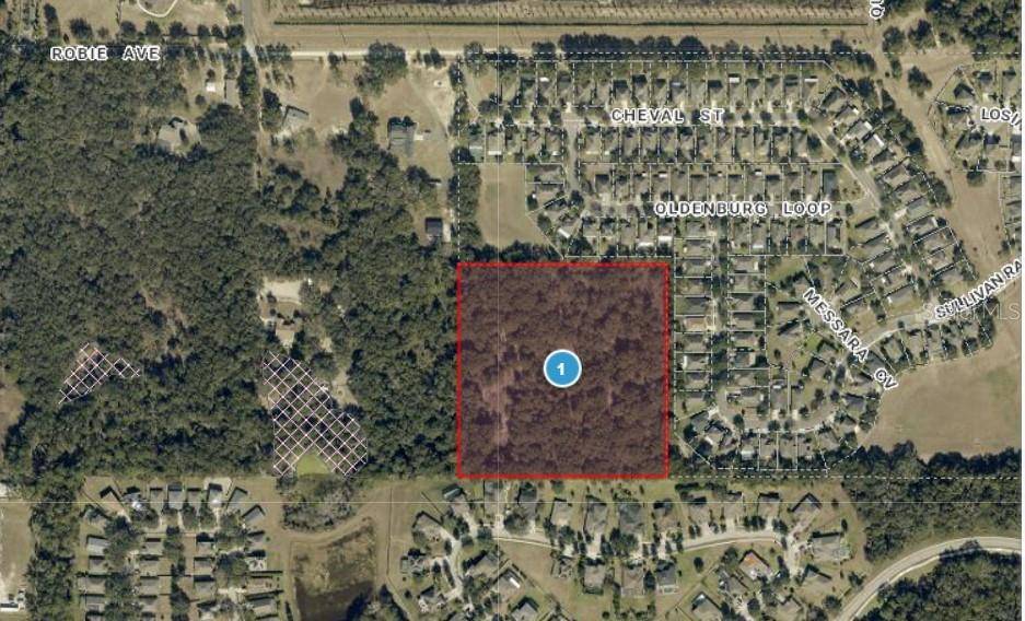 3016 ROBIE AVE, Mount Dora, FL 32757