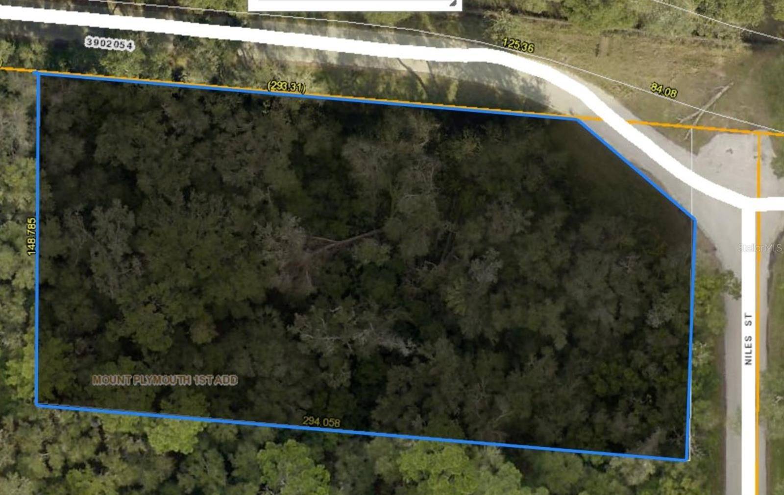 31699 NILES ST, Mount Plymouth, FL 32776