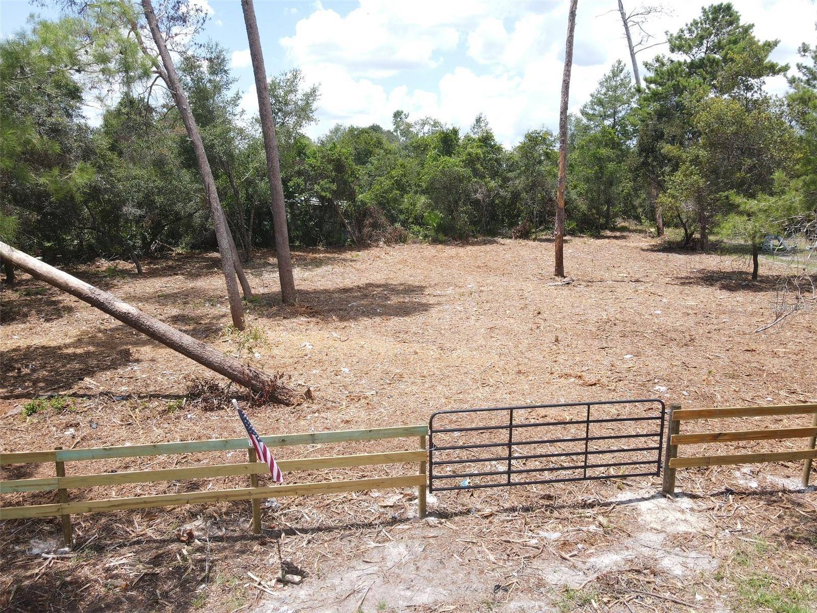 W PINE ST, Paisley, FL 32767