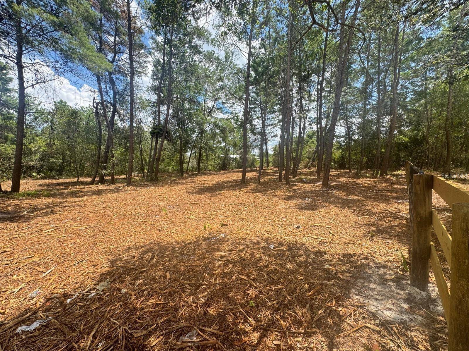 E PINE ST, Paisley, FL 32767