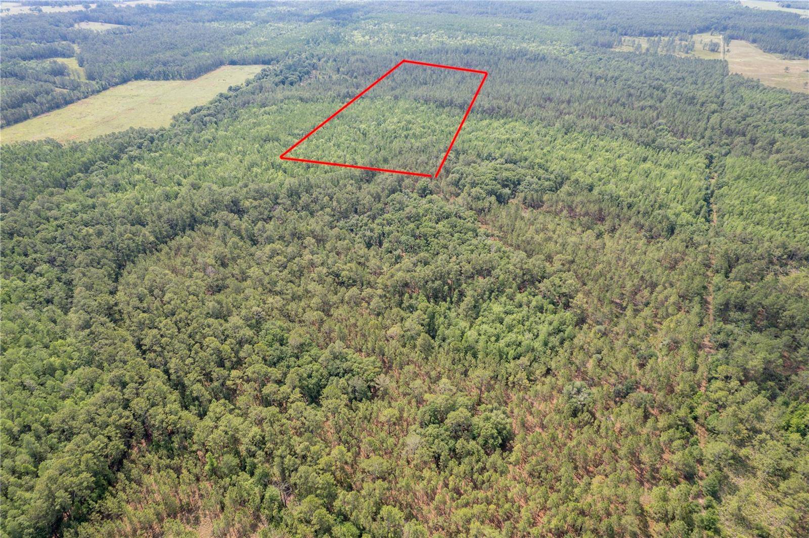 Address not disclosed, Polk City, FL 33868