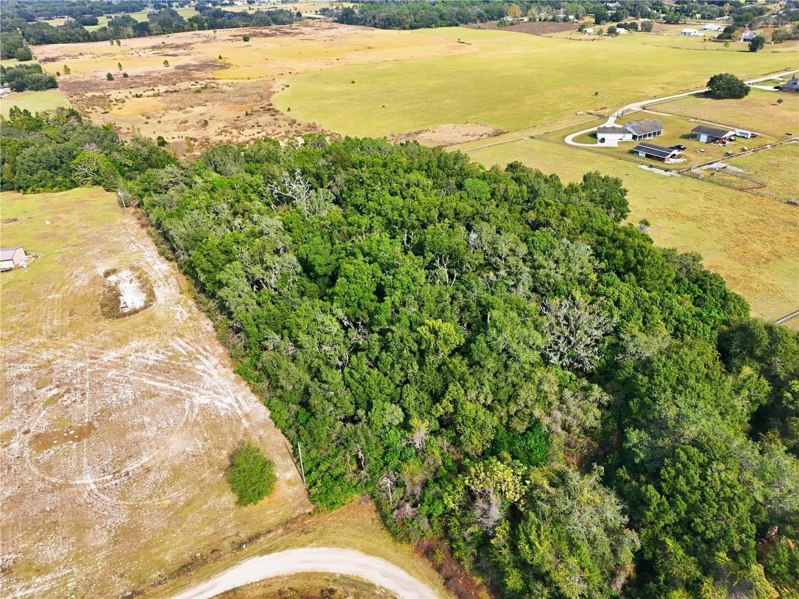 CURLE RD, Eustis, FL 32736