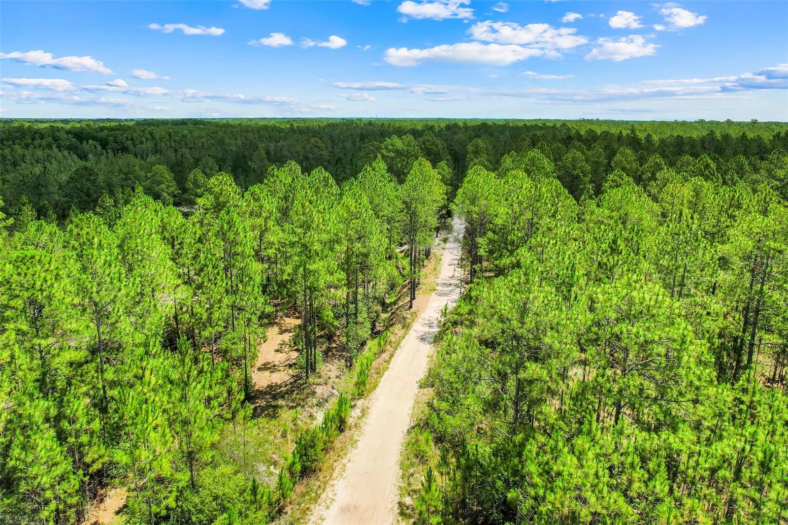 WATER RD, Clermont, FL 34711