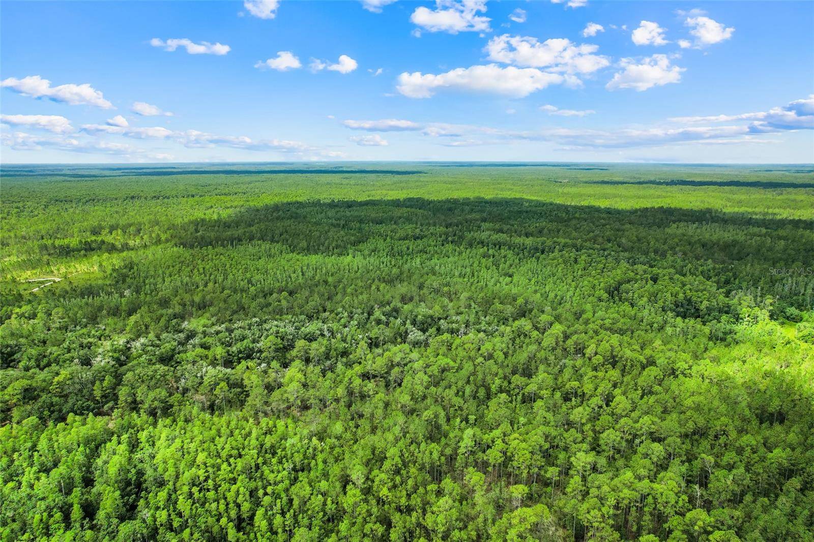 WATER RD, Clermont, FL 34711