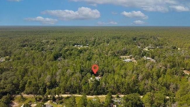 24607 POLAR BEAR RD, Paisley, FL 32767