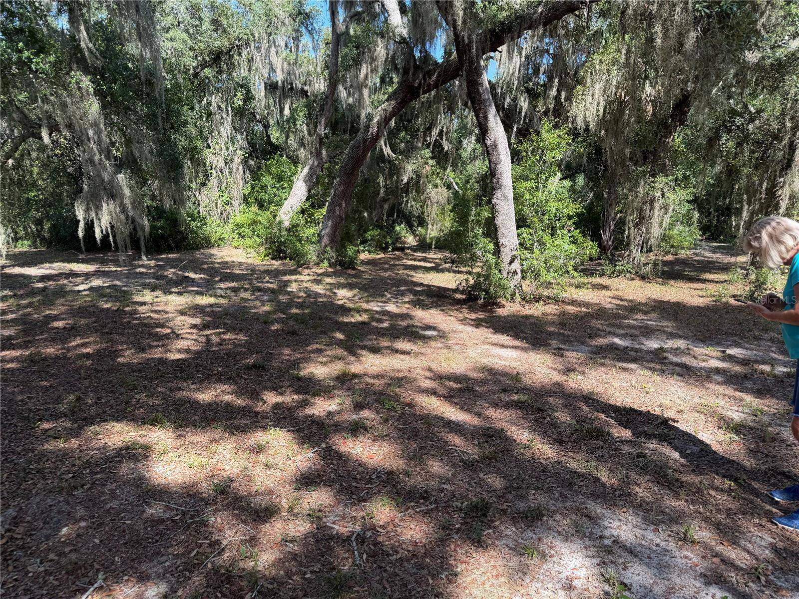 3113 BRIGHT LAKE CIR, Groveland, FL 34736