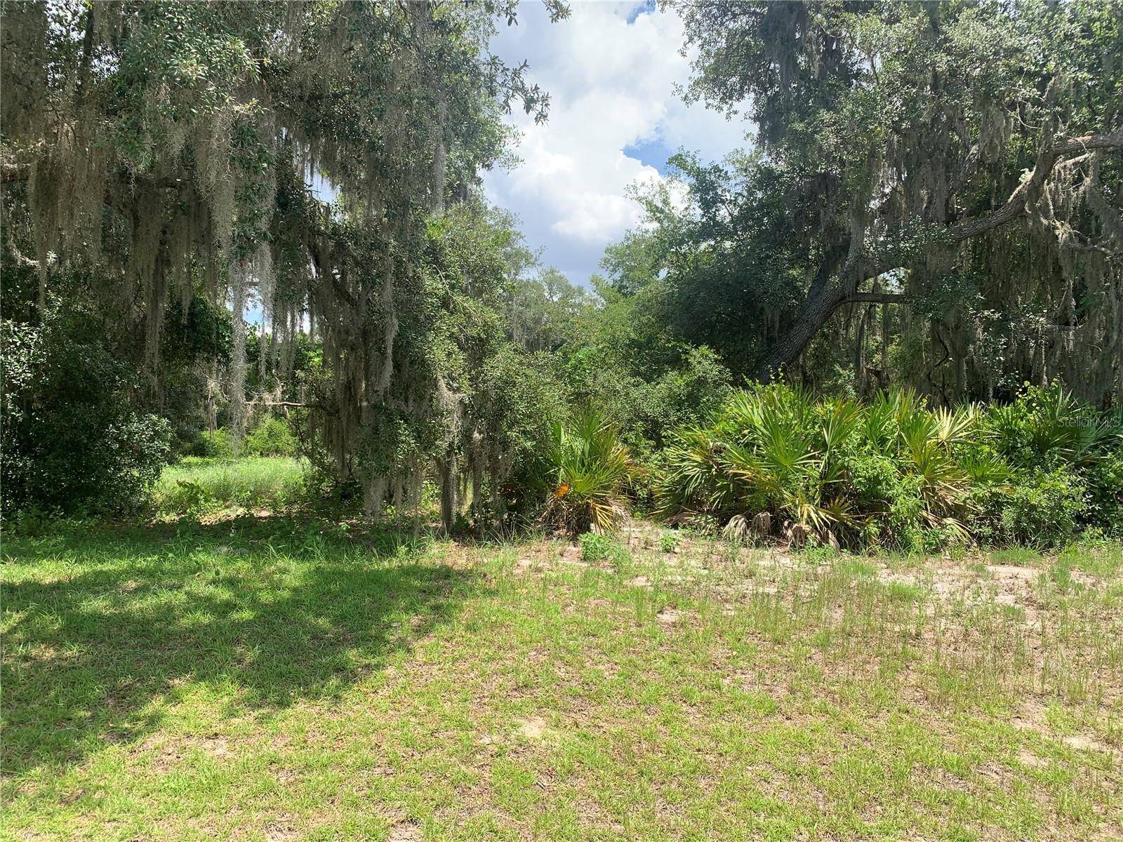 3113 BRIGHT LAKE CIR, Groveland, FL 34736