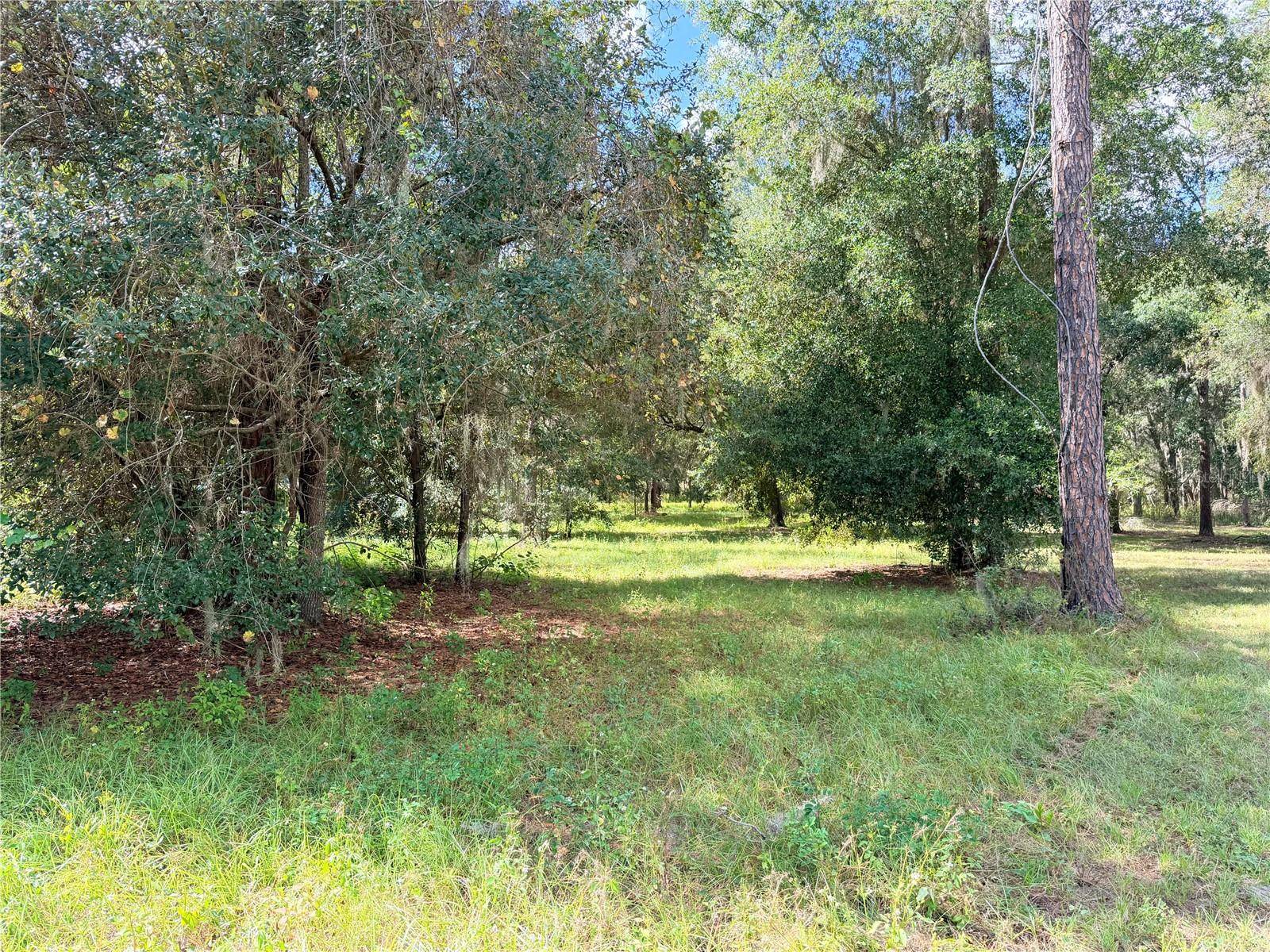 BONSMARA DR, Groveland, FL 34736