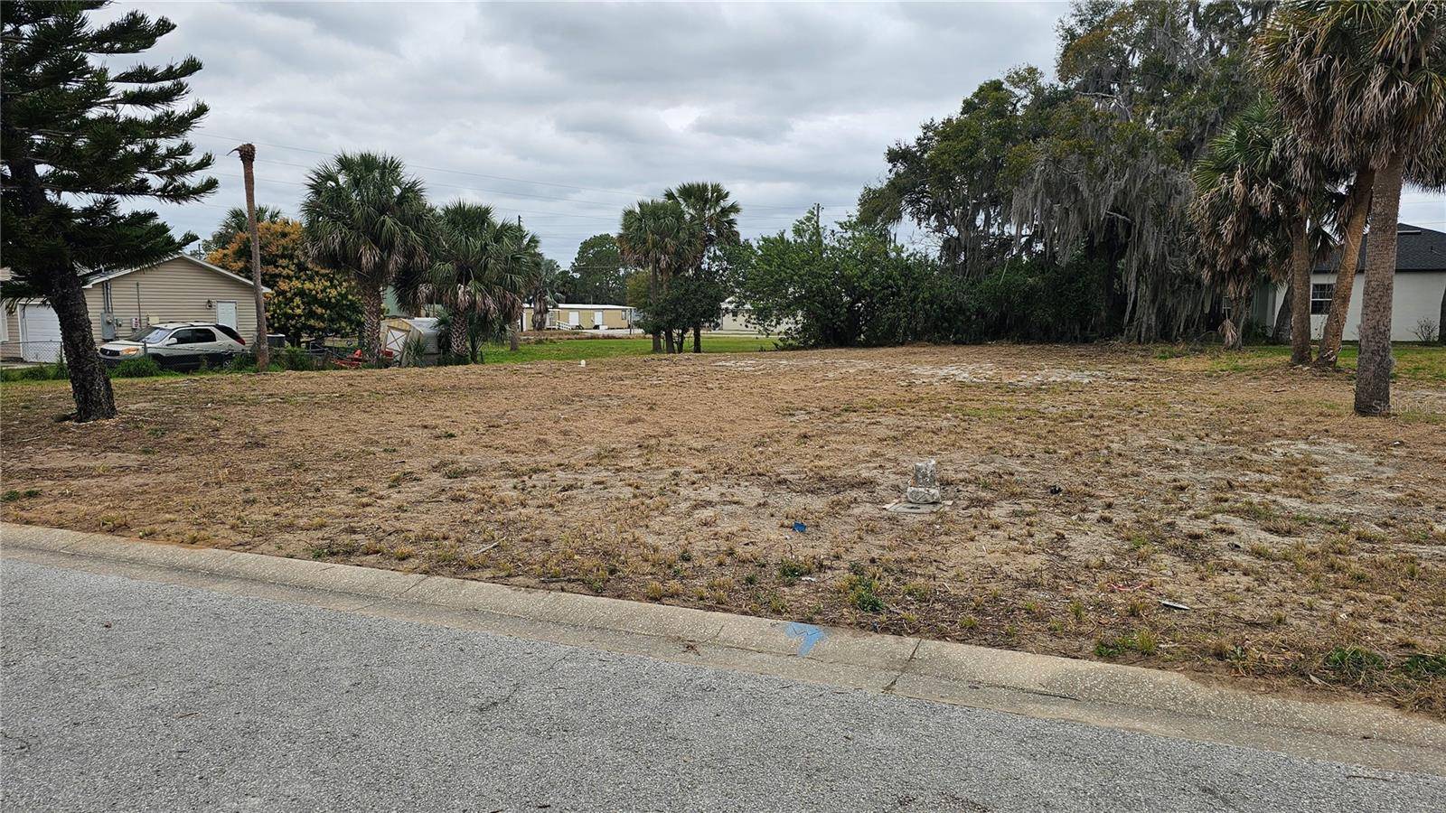 209 W BADGER AVE, Eustis, FL 32726