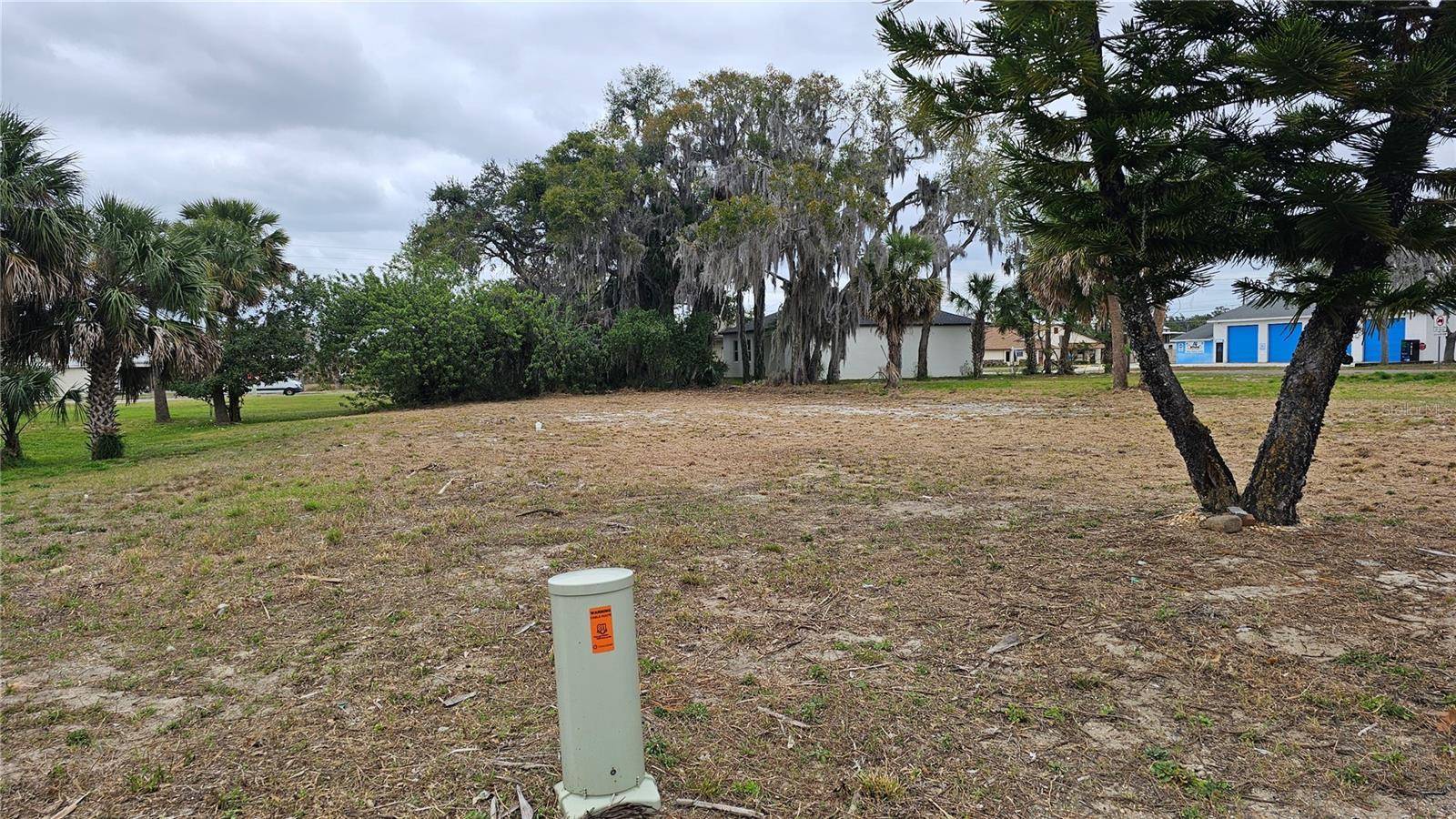 209 W BADGER AVE, Eustis, FL 32726