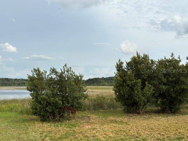 13225 PLUM LAKE CIR, Minneola, FL 34715
