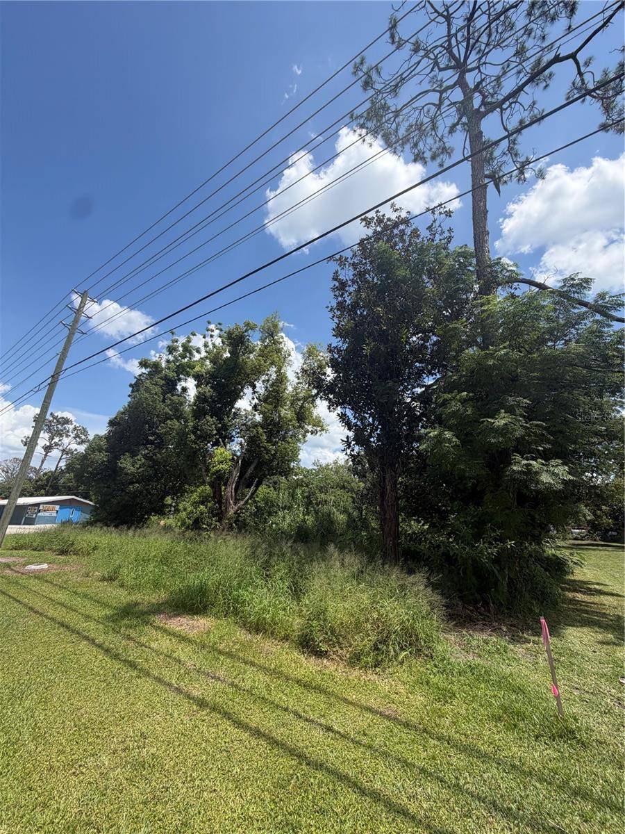 14435 OAK ST, Groveland, FL 34736