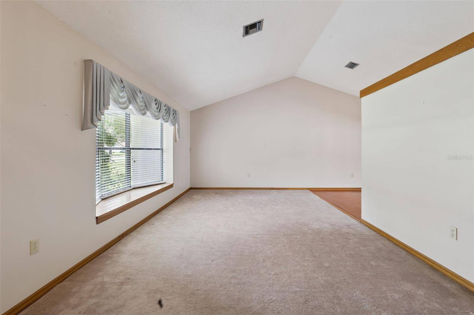 4160 WOOD DR, Mount Dora, FL 32757