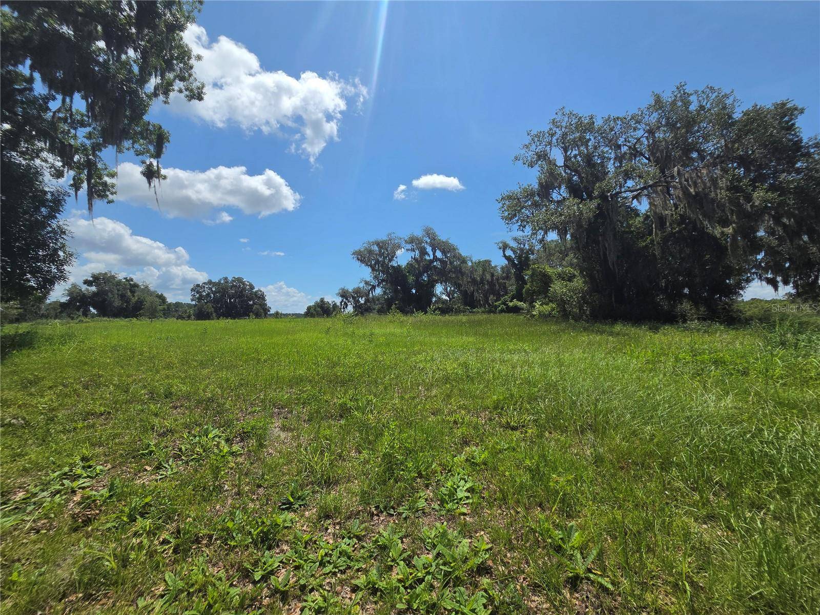 466 LONG AND WINDING RD, Howey In The Hills, FL 34737