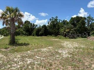 801 S DIXIE AVE #A, Fruitland Park, FL 34731