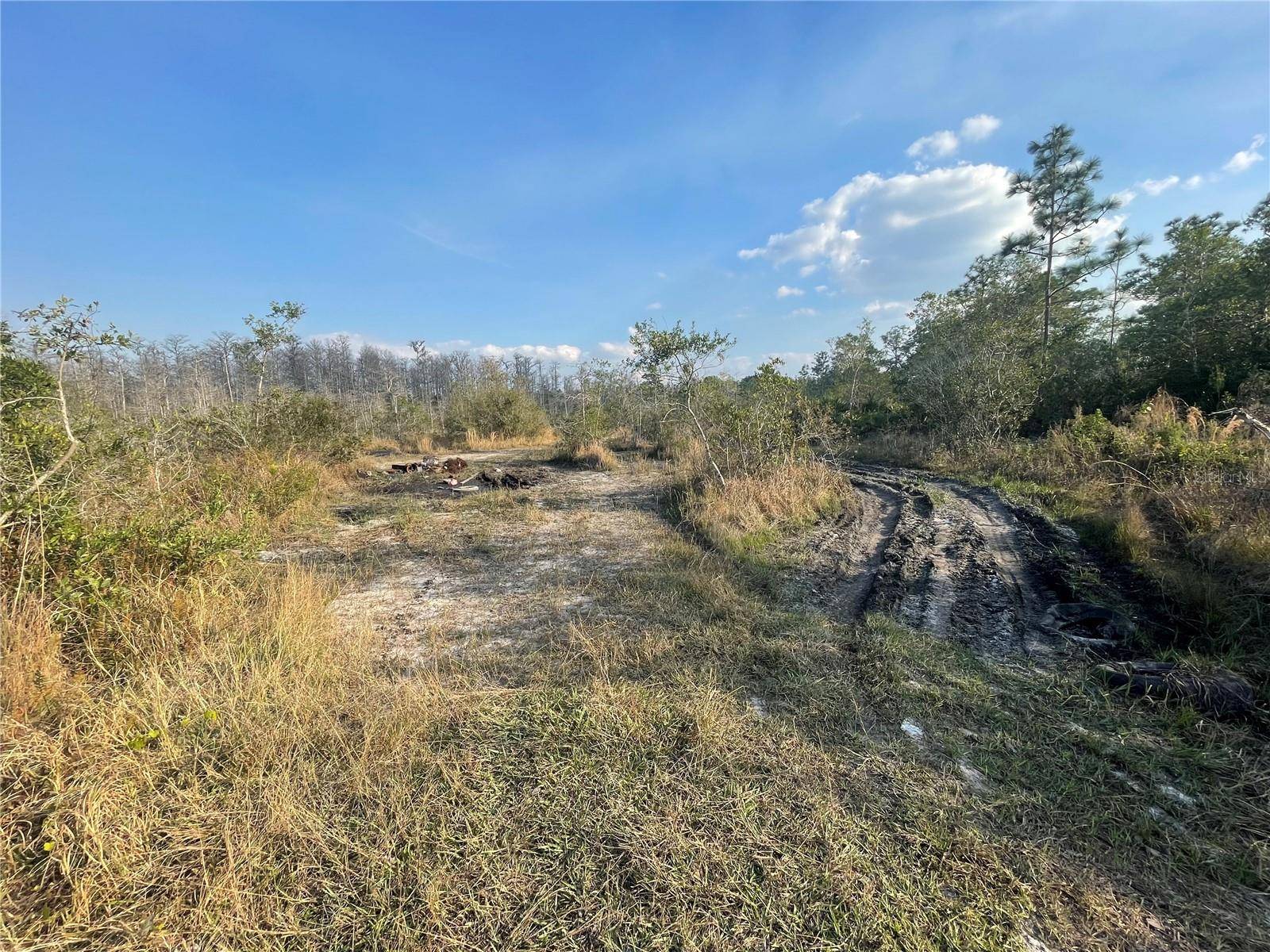 CONCORD RD, St Cloud, FL 34773