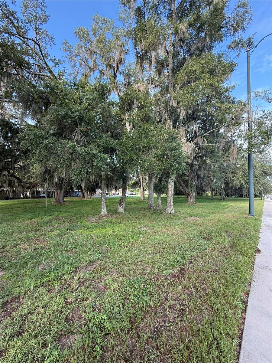 1130 MCNAMEE ST HWY 441 HWY, Leesburg, FL 34748