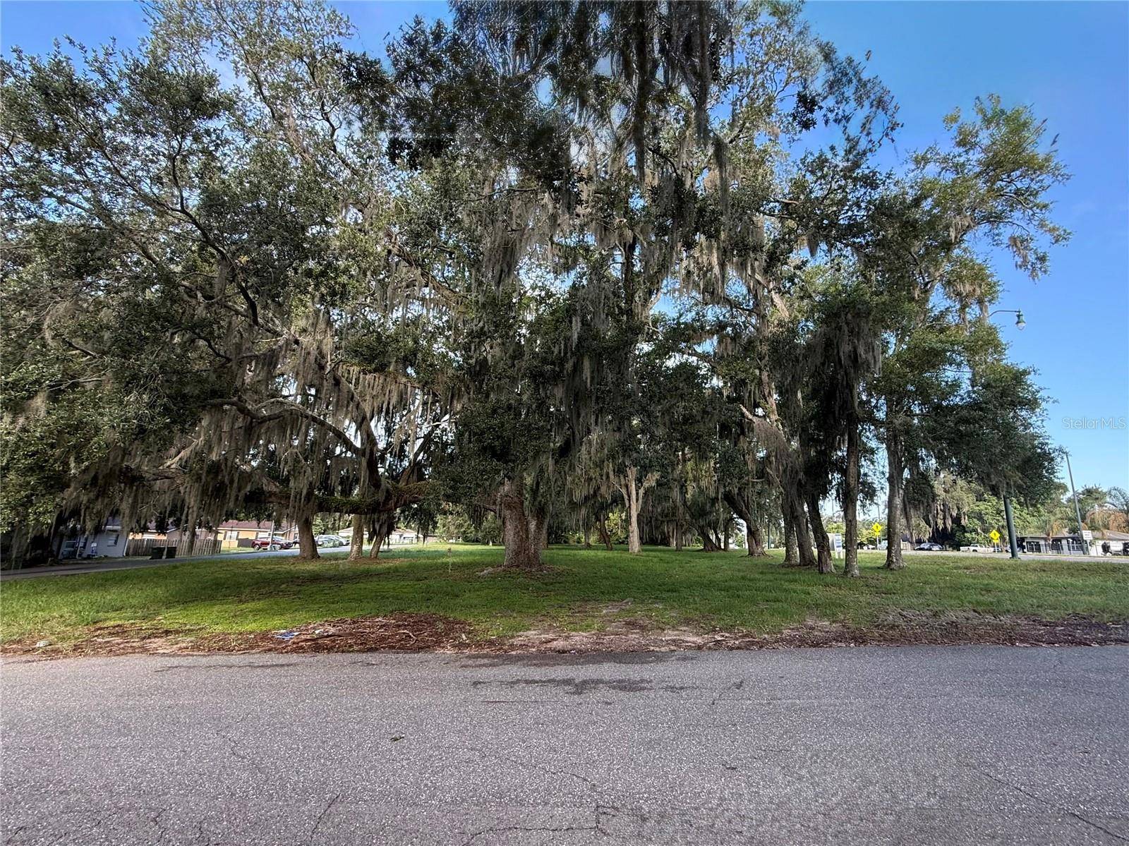 1130 MCNAMEE ST HWY 441 HWY, Leesburg, FL 34748