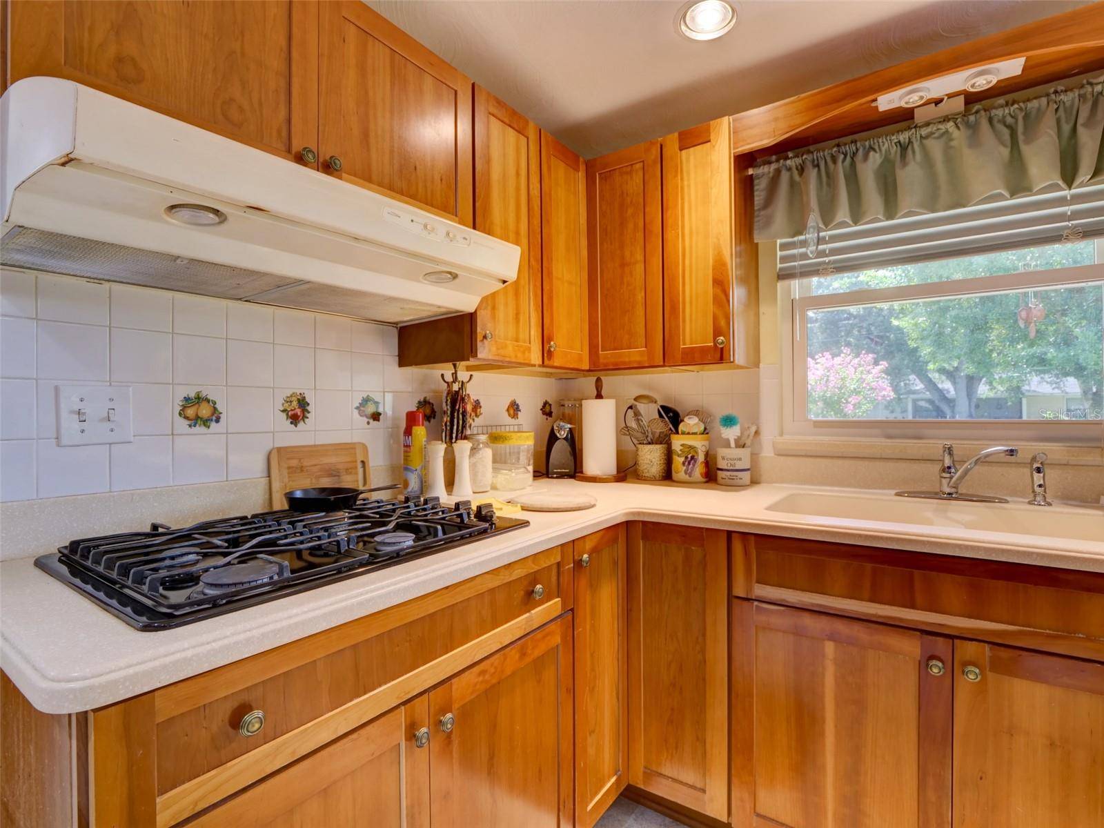 314 N YORK ST, Bushnell, FL 33513