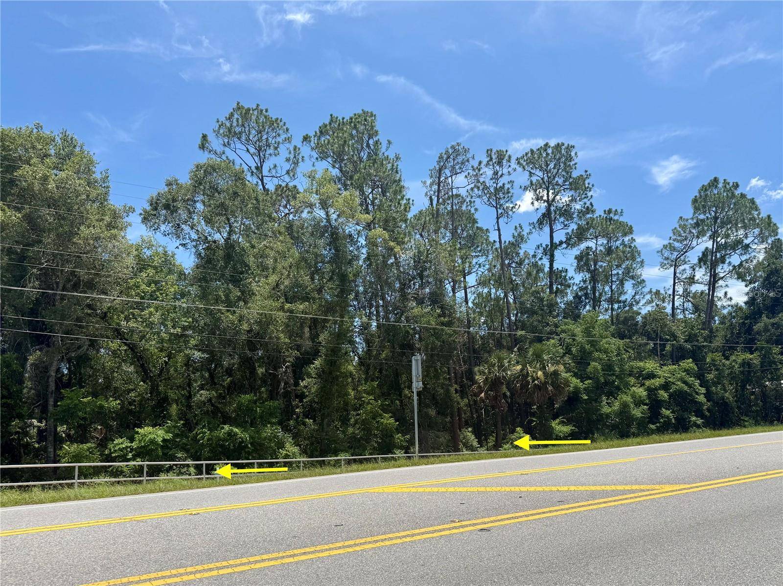 LOT 13 STATE ROAD 44, Eustis, FL 32726