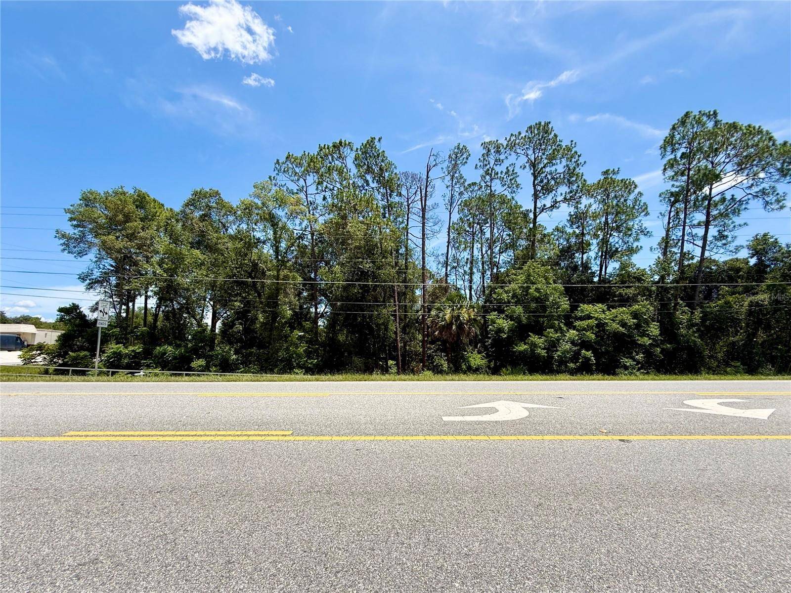 LOT 13 STATE ROAD 44, Eustis, FL 32726