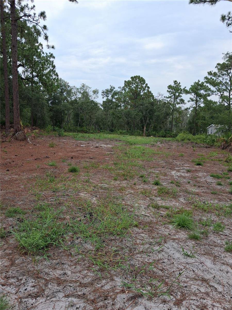 PARK FOREST BLVD, Mount Dora, FL 32757