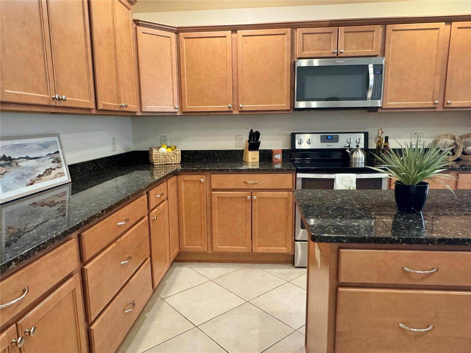 2931 CHARLEVOIX ST, The Villages, FL 32163