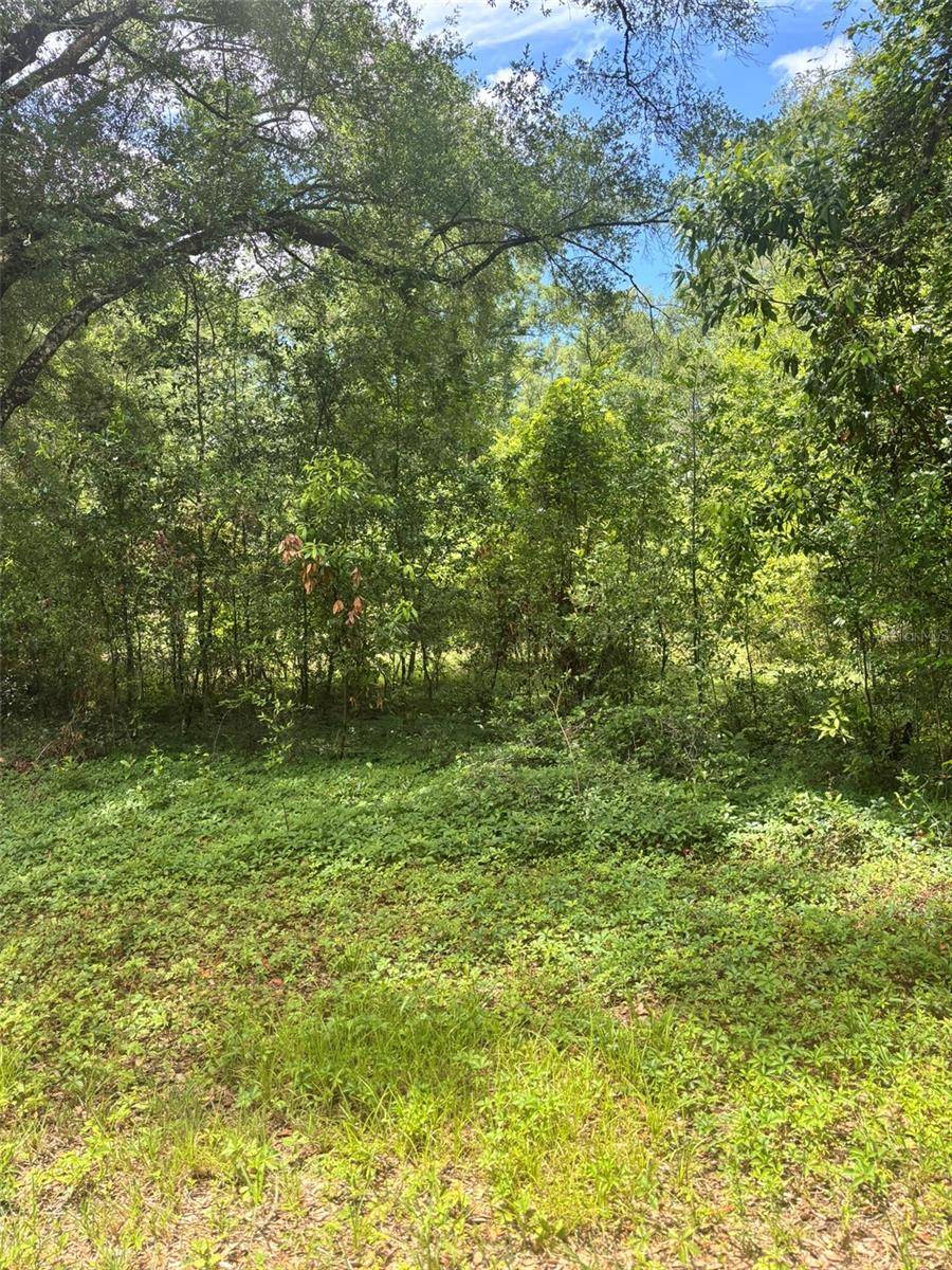 8230 NW 166TH ST, Fanning Springs, FL 32693