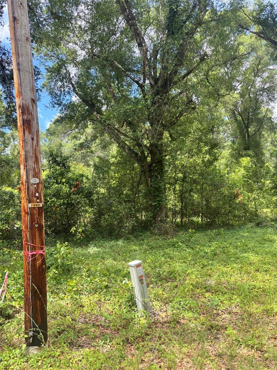 8230 NW 166TH ST, Fanning Springs, FL 32693