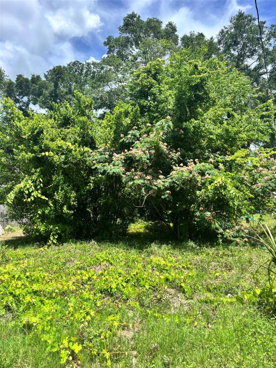 206 NE 13TH AVE, Chiefland, FL 32626