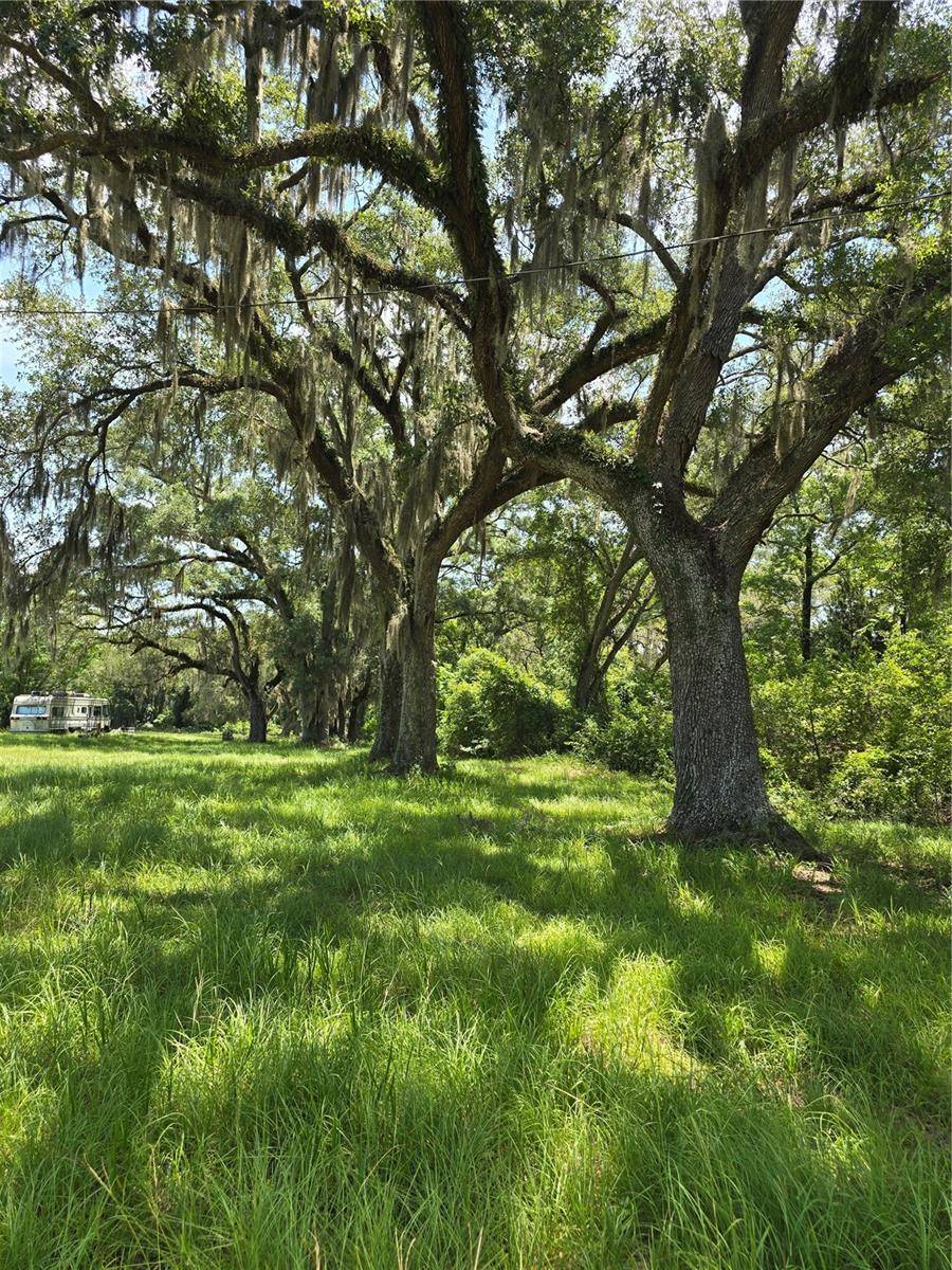 7563 SE COUNTY ROAD 405, Branford, FL 32008