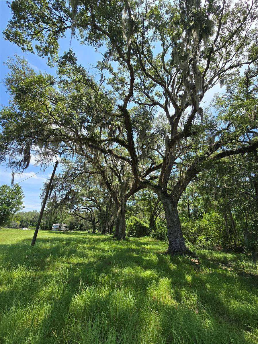 7563 SE COUNTY ROAD 405, Branford, FL 32008