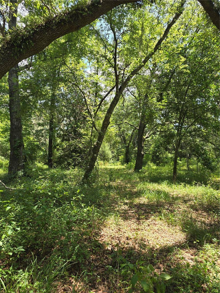 7563 SE COUNTY ROAD 405, Branford, FL 32008