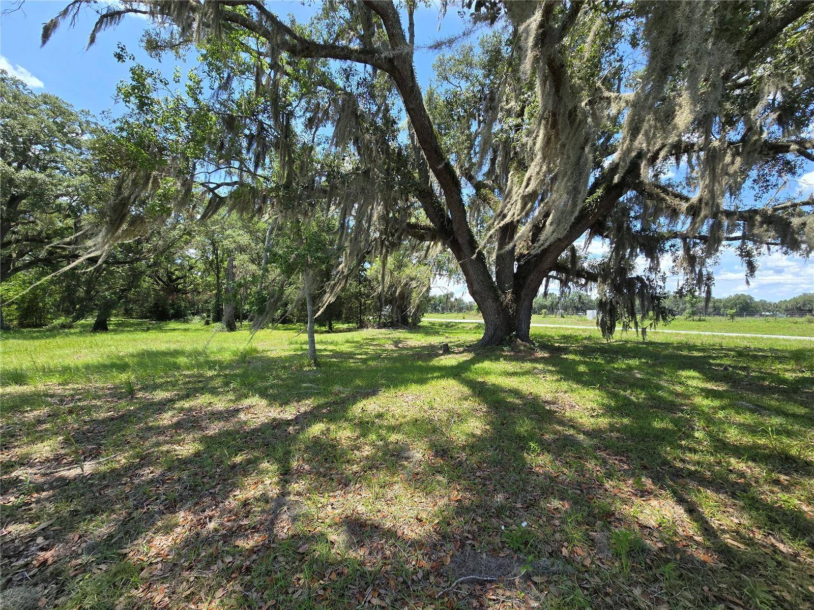 7563 SE COUNTY ROAD 405, Branford, FL 32008