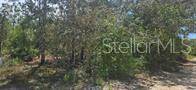 000 NE 67 ST, Bronson, FL 32621
