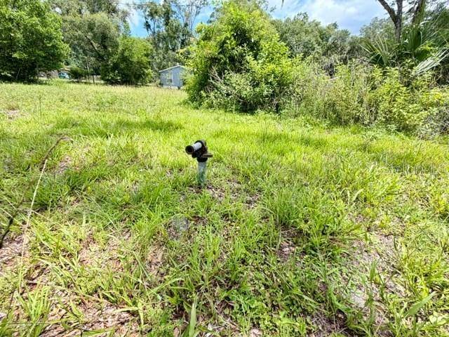 9749 FLORIDA ST, Fanning Springs, FL 32693