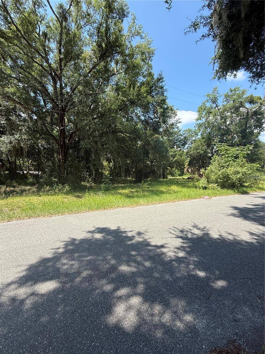 1101 E MAGNOLIA ST, Leesburg, FL 34748