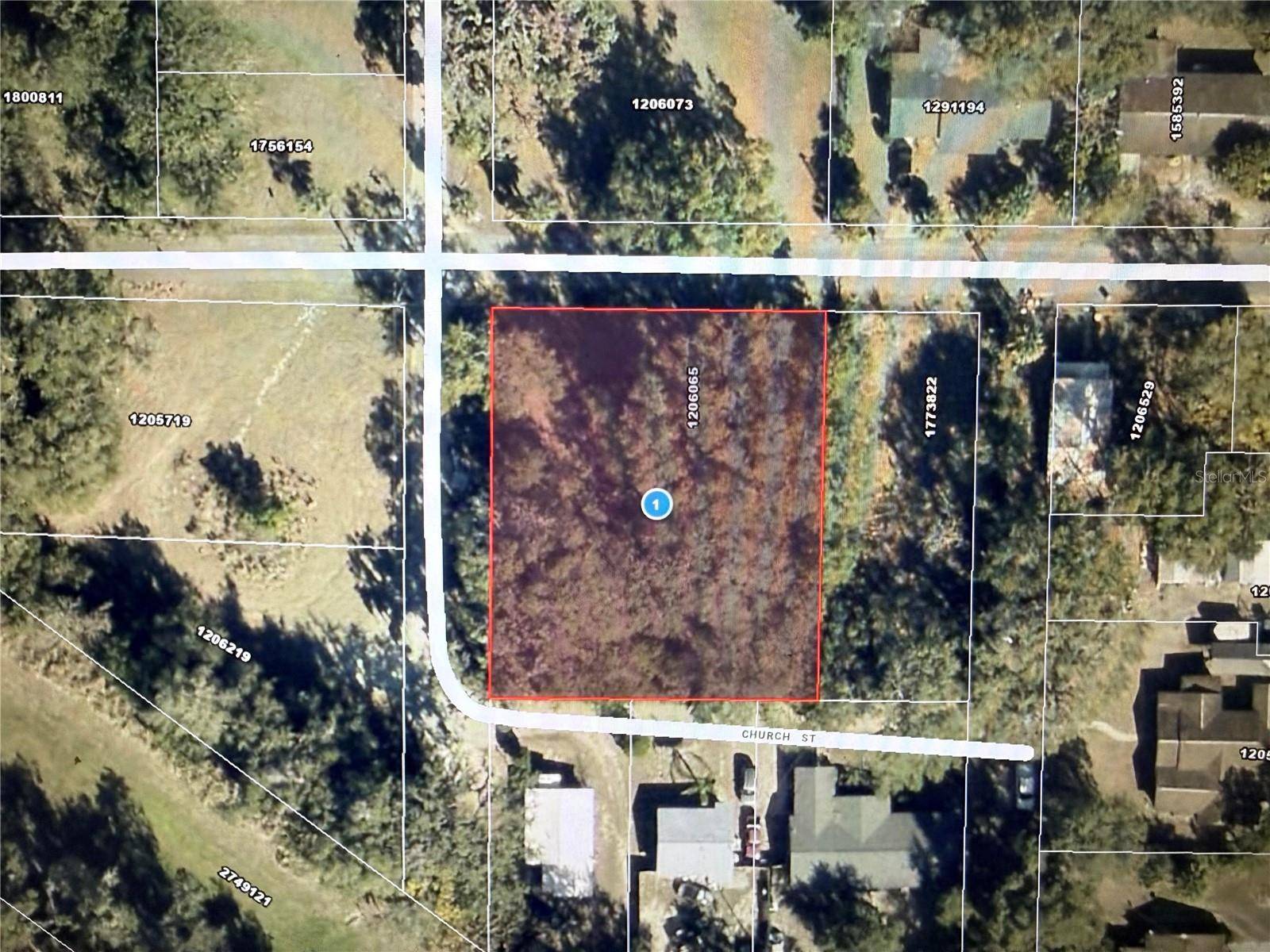 1101 E MAGNOLIA ST, Leesburg, FL 34748