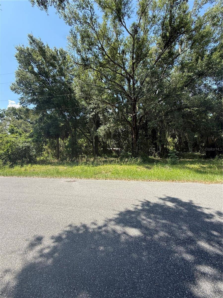 1101 E MAGNOLIA ST, Leesburg, FL 34748