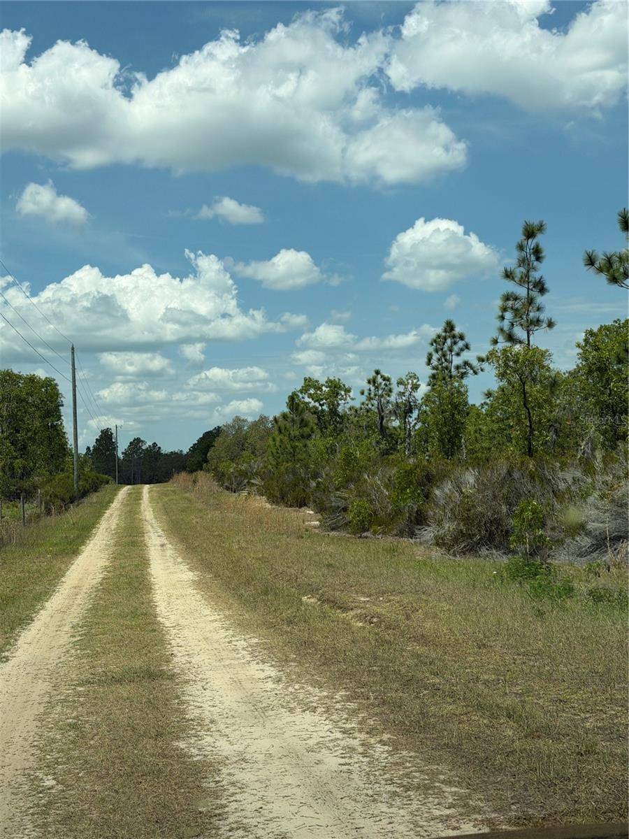 NE 110TH AVE, Bronson, FL 32621