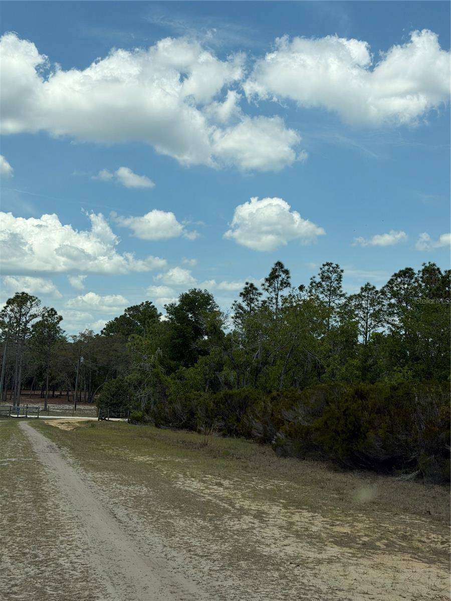 NE 110TH AVE, Bronson, FL 32621