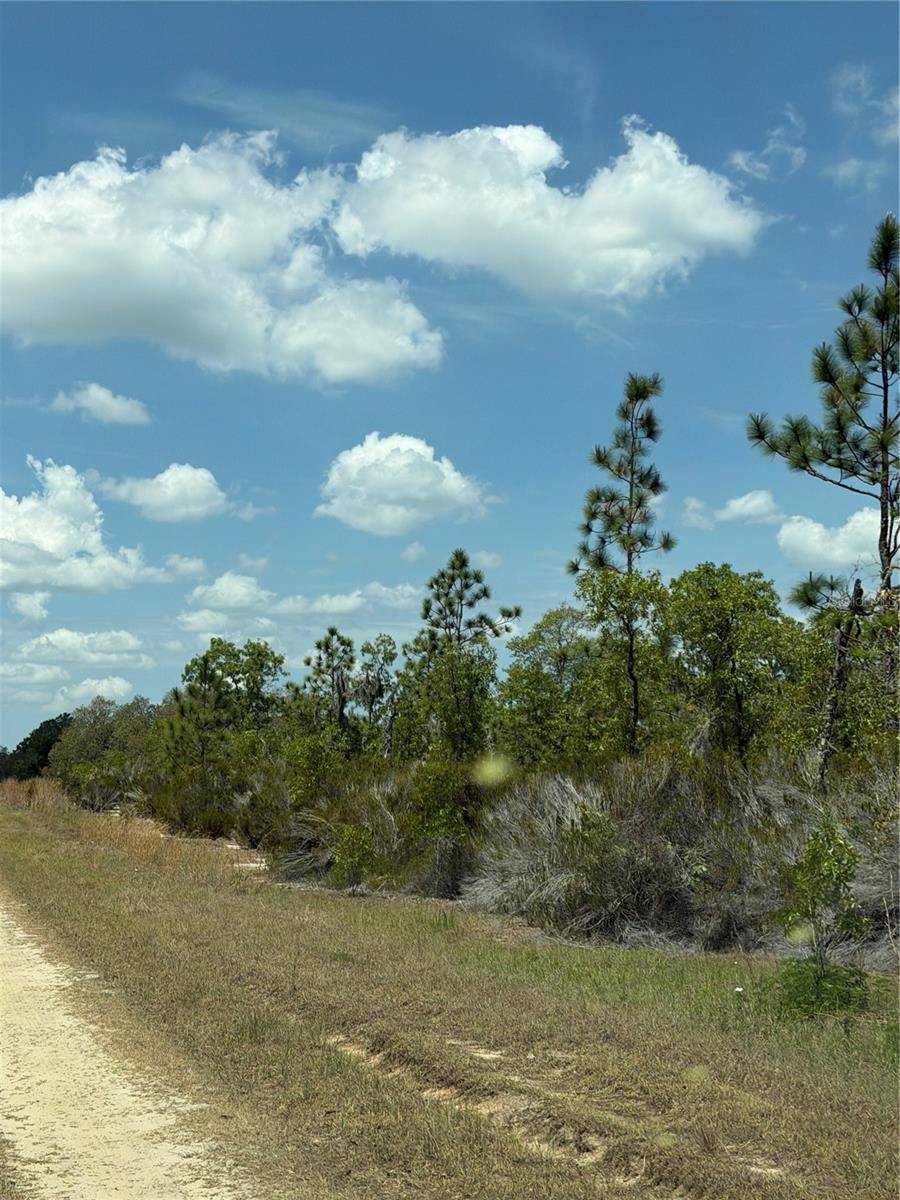NE 110TH AVE, Bronson, FL 32621