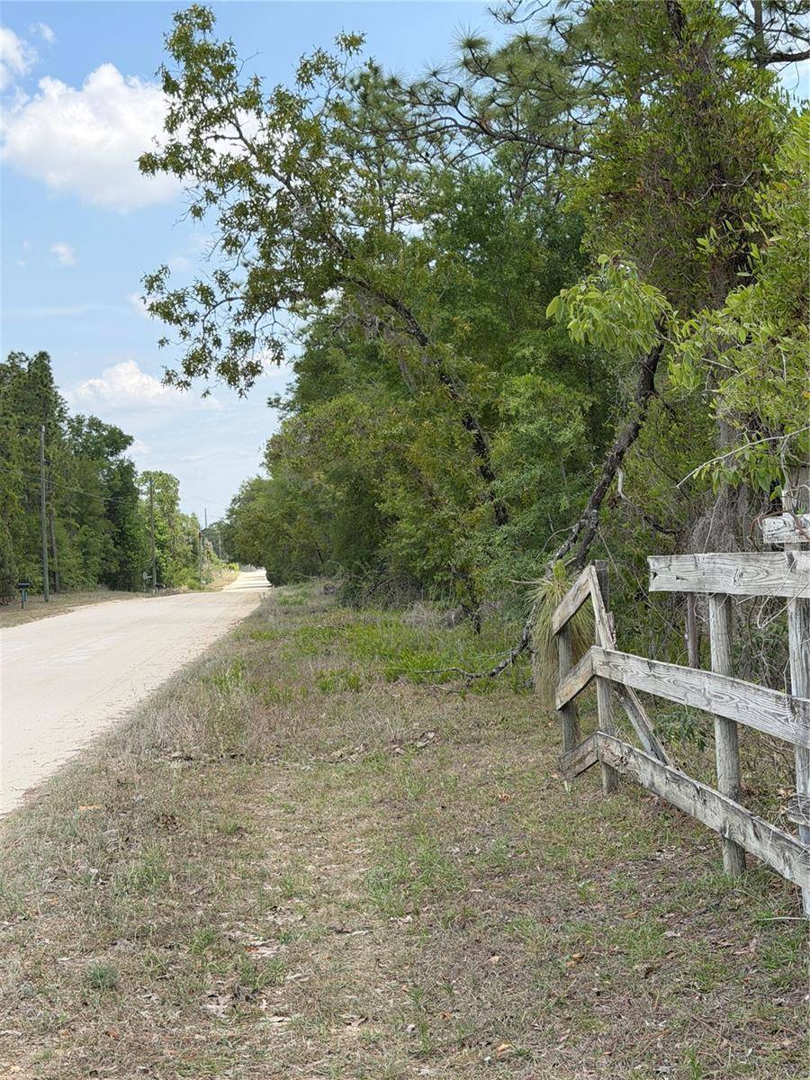NE 110TH AVE, Bronson, FL 32621