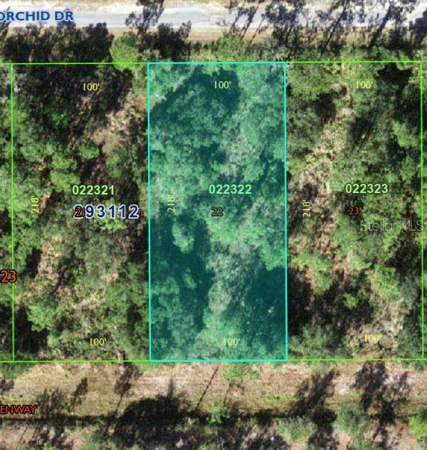 905 ORCHID DR, Indian Lake Estates, FL 33855