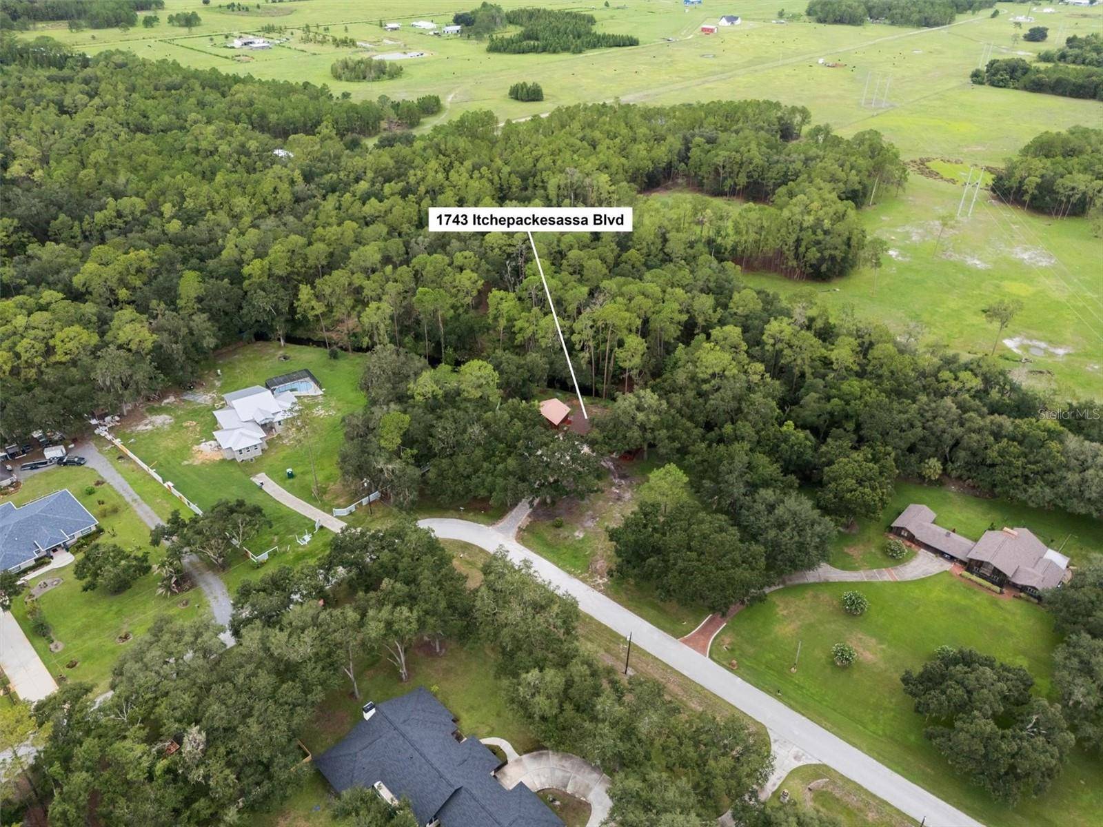 1743 ITCHEPACKESASSA DR, Lakeland, FL 33810