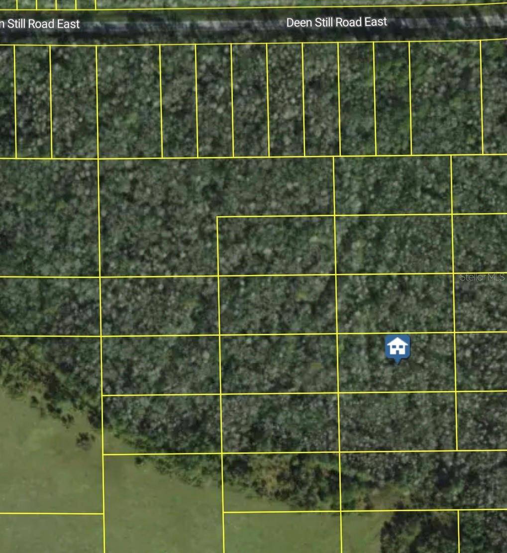 DEEN STILL RD E, Polk City, FL 33868