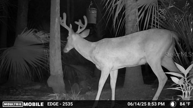 VOLCO RD, Edgewater, FL 32141